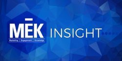 MEK Insight tracks a broad spectrum of key trends, and offers vision and understanding of global, national and regional issues.